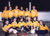 Broomball02Team.jpeg (92637 bytes)