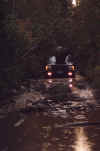 jeep.jpg (165438 bytes)