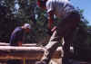 sawing logs.jpg (246851 bytes)
